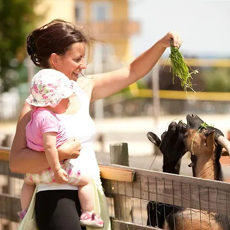 Hotell Ballonhotel Kaindorf (Hartberg-Furstenfeld)