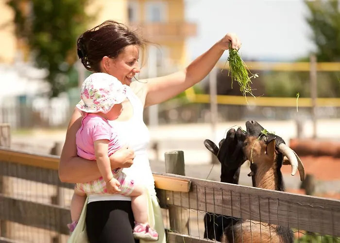 Hotel Ballonhotel Thaller Kaindorf (Hartberg-Furstenfeld)