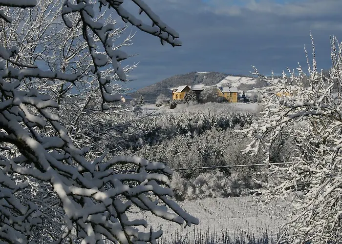 Hotel Ballonhotel Thaller 4*